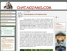 Tablet Screenshot of chat.nozamis.com